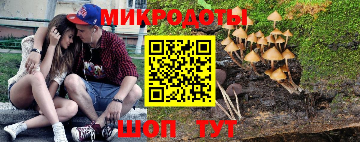 Галлюциногенные грибы GOLDEN TEACHER  Вход с VPN  Североуральск  Псилоцибиновые грибы ЛСД 