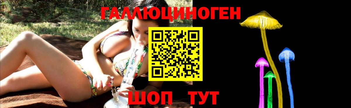 Псилоцибиновые грибы Psilocybe Североуральск